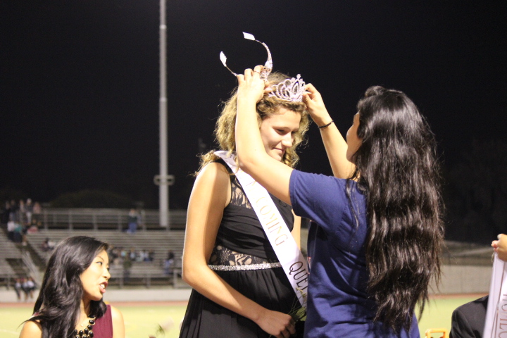 Soaring High with&nbsp;Royalty