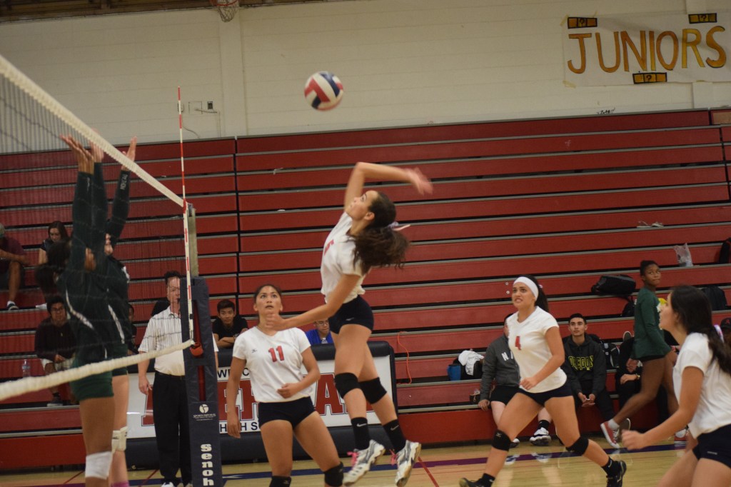 AHS Girls Volleyball Loses to&nbsp;Moreau