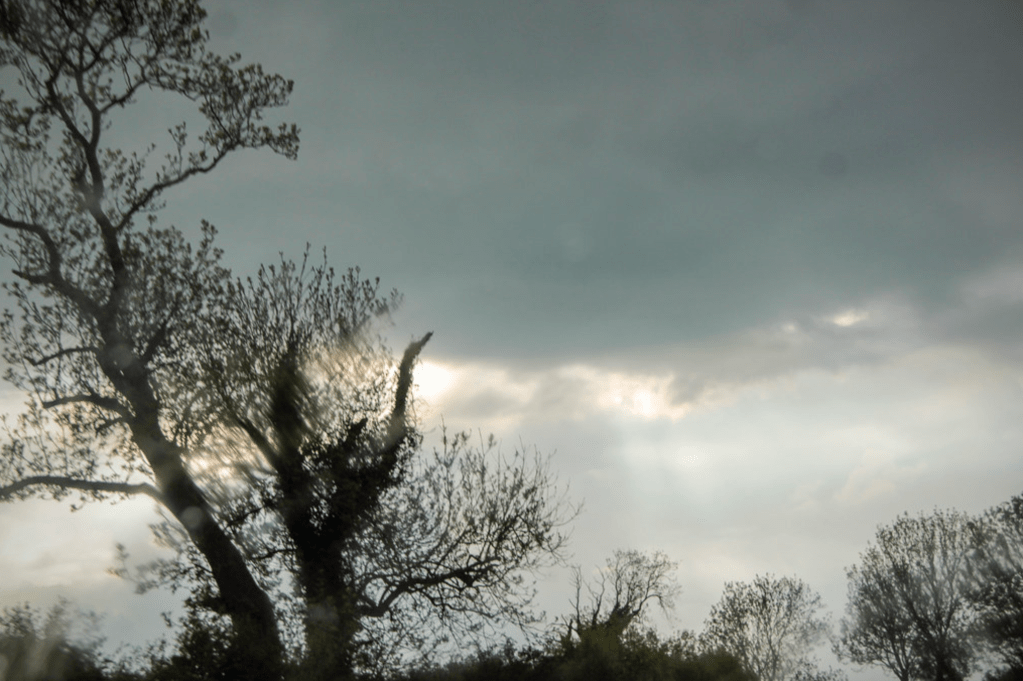 The Best of Times, The Worst of&nbsp;Times