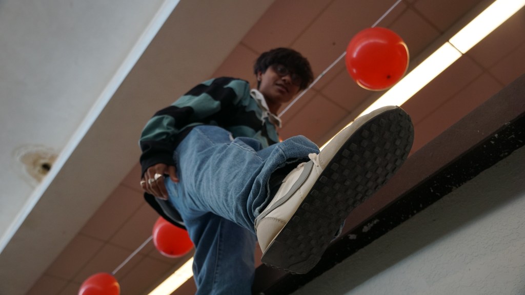 The “American” Journey of VAISH and THE&nbsp;ROACHEZ