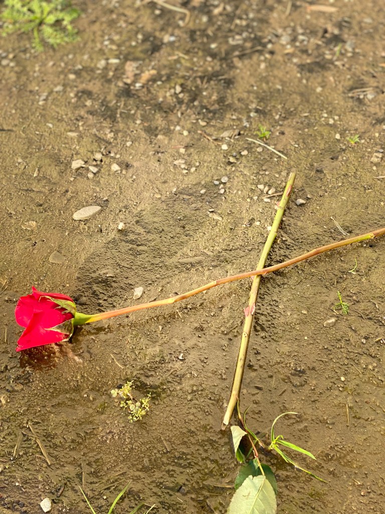 The current image has no alternative text. The file name is: february-opinion-politics-humor-drafts-feb-18-2025-at-11_10-am.jpg