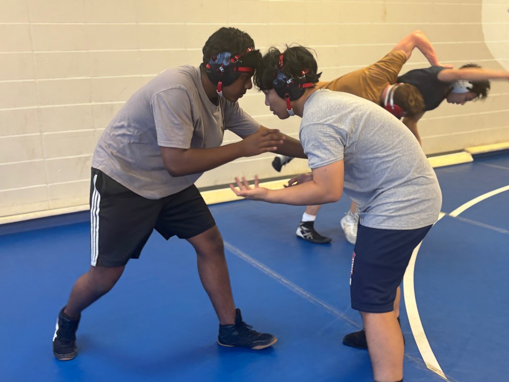 New authority on the wrestling&nbsp;mat