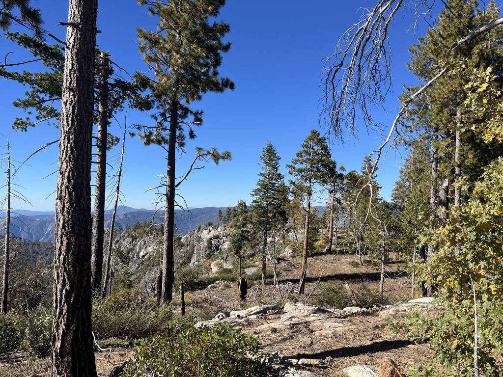 Native American tribe finally returned 900 acres of land in Yosemite