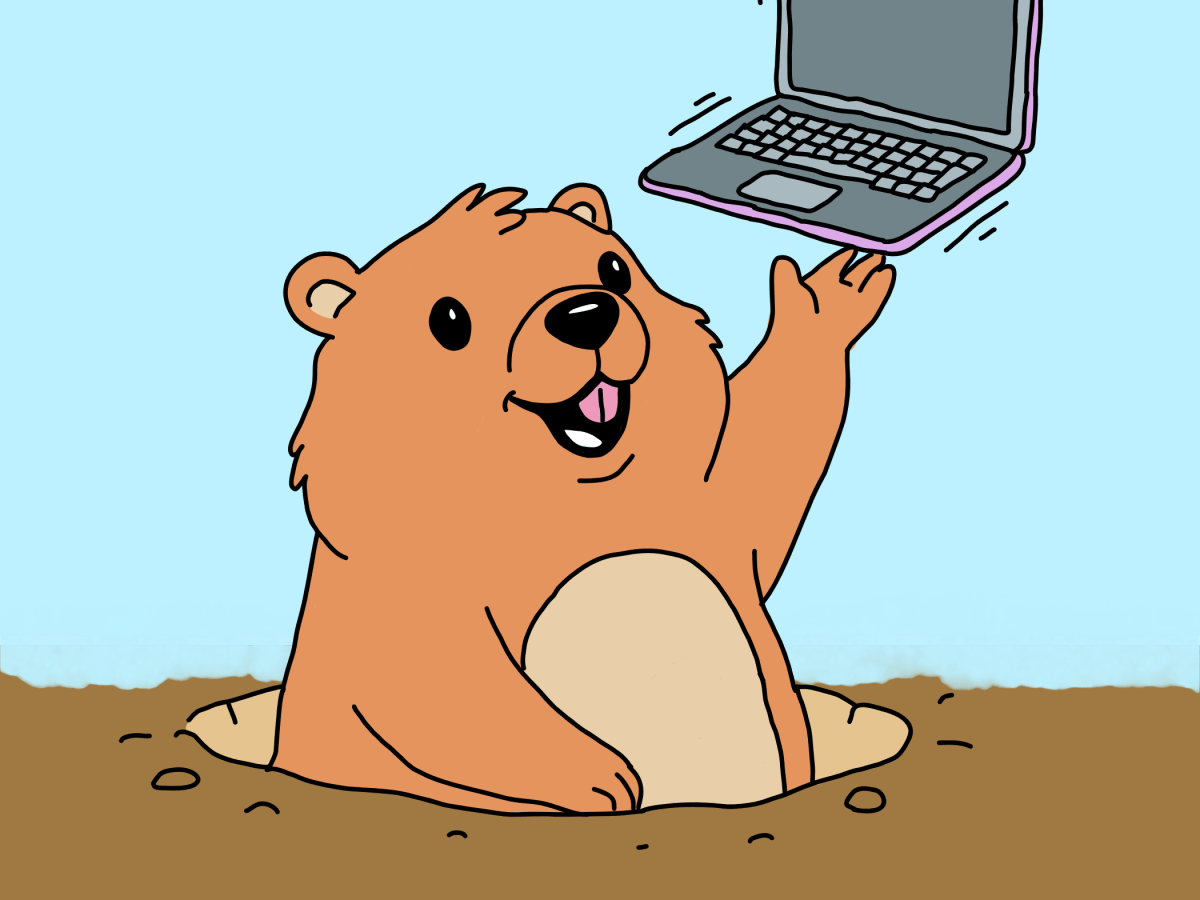 It’s time to come out of your&nbsp;burrow